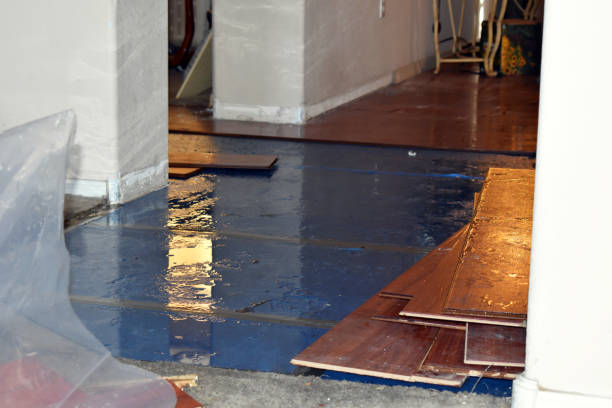 Professional Sewage Cleanup technician working in Hull, TX